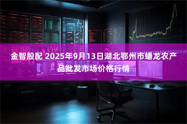 金智股配 2025年9月13日湖北鄂州市蟠龙农产品批发市场价格行情