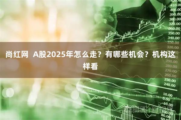 尚红网  A股2025年怎么走？有哪些机会？机构这样看