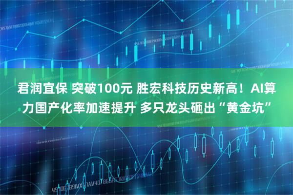 君润宜保 突破100元 胜宏科技历史新高！AI算力国产化率加速提升 多只龙头砸出“黄金坑”