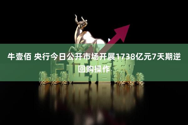 牛壹佰 央行今日公开市场开展1738亿元7天期逆回购操作