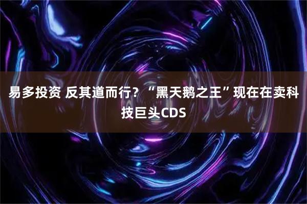 易多投资 反其道而行？“黑天鹅之王”现在在卖科技巨头CDS