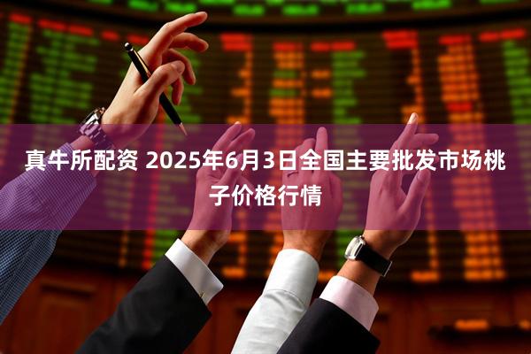真牛所配资 2025年6月3日全国主要批发市场桃子价格行情