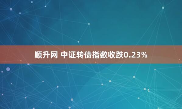 顺升网 中证转债指数收跌0.23%