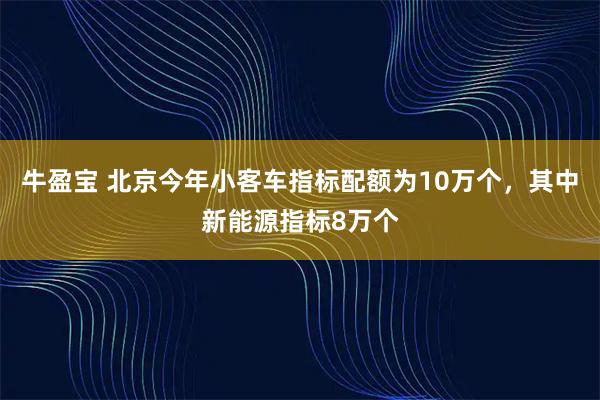 牛盈宝 北京今年小客车指标配额为10万个，其中新能源指标8万个
