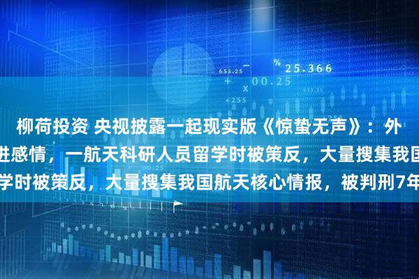 柳荷投资 央视披露一起现实版《惊蛰无声》：外籍男子多次请吃烧烤增进感情，一航天科研人员留学时被策反，大量搜集我国航天核心情报，被判刑7年