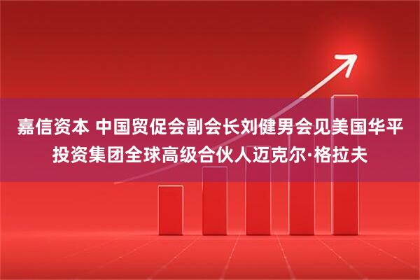 嘉信资本 中国贸促会副会长刘健男会见美国华平投资集团全球高级合伙人迈克尔·格拉夫