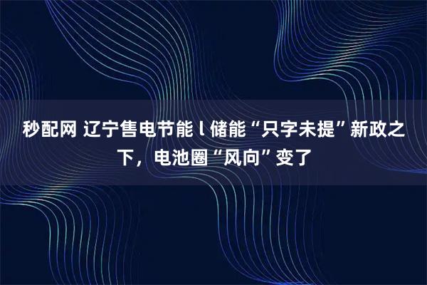 秒配网 辽宁售电节能 l 储能“只字未提”新政之下，电池圈“风向”变了